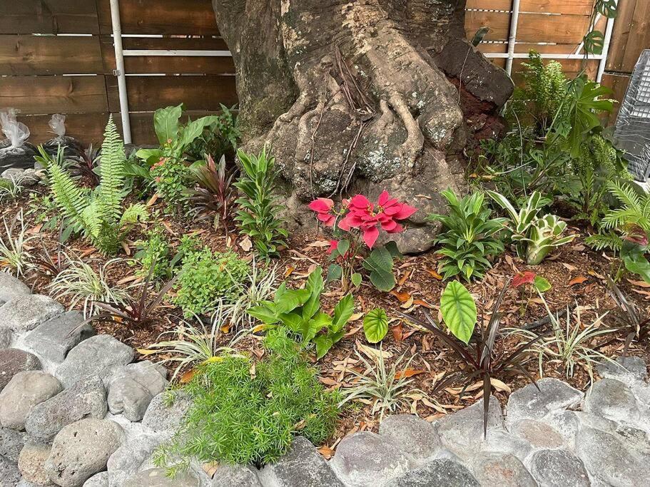 La Maison De Paofai Papeete (Tahiti) Exterior foto